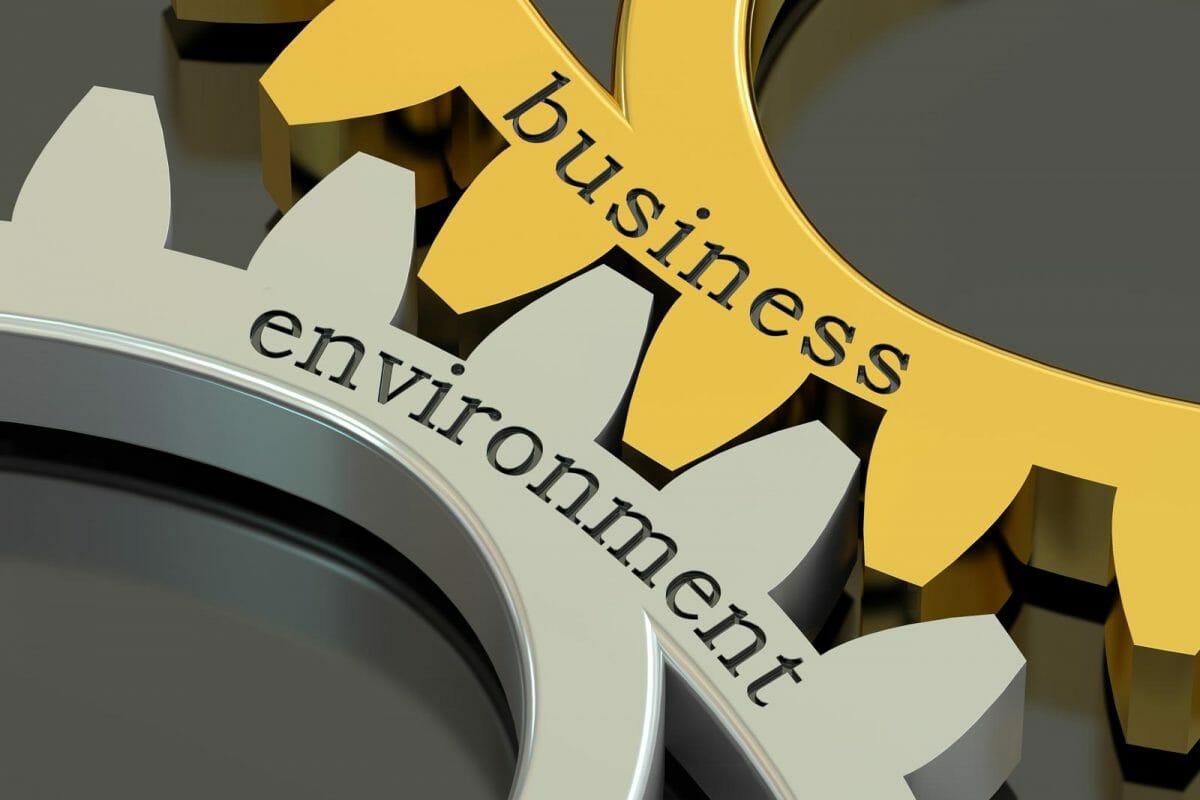 business environment cooperation partnership goals