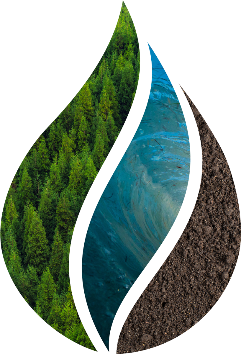 weis environmental logo (color)